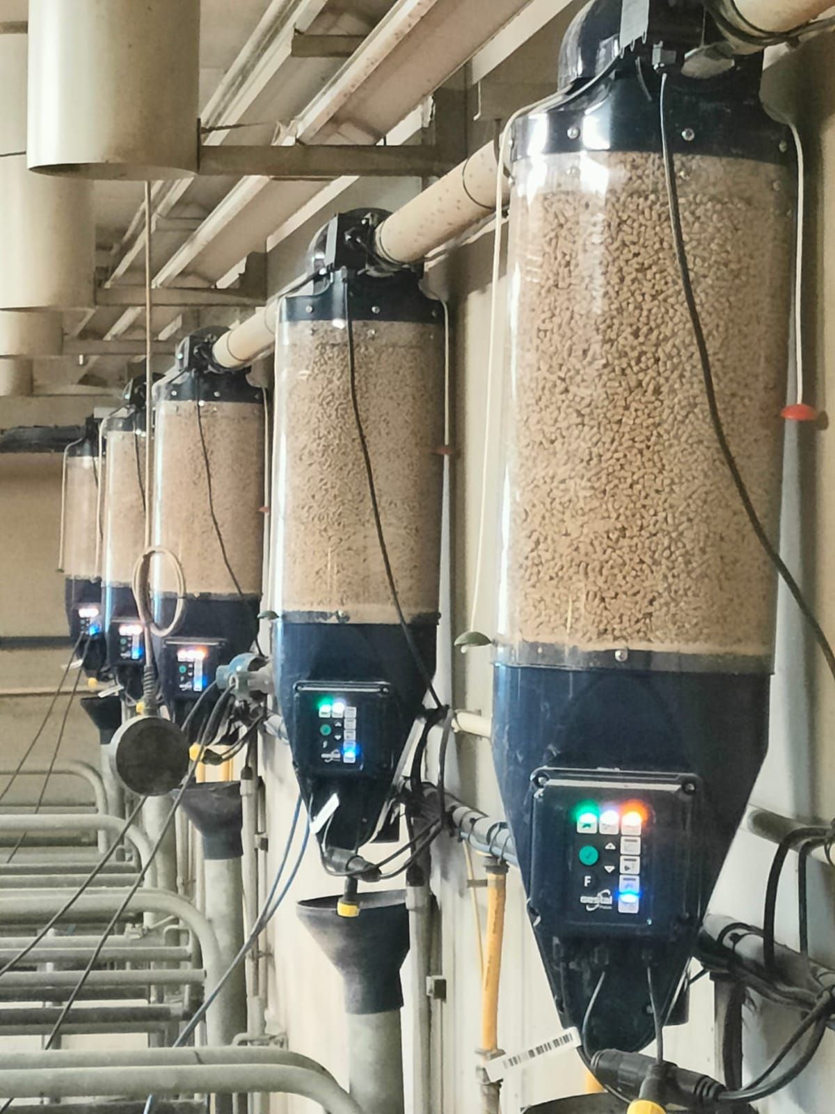 whatsapp-image-2024-11-27-at-114414